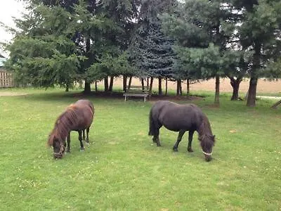 Tolles In Gehren Mit Garten, Terrasse Und Grill
